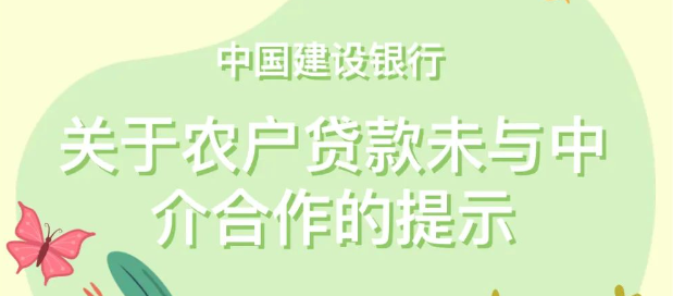 银行界齐声警告：与不法贷款中介划清界限（金融时报）